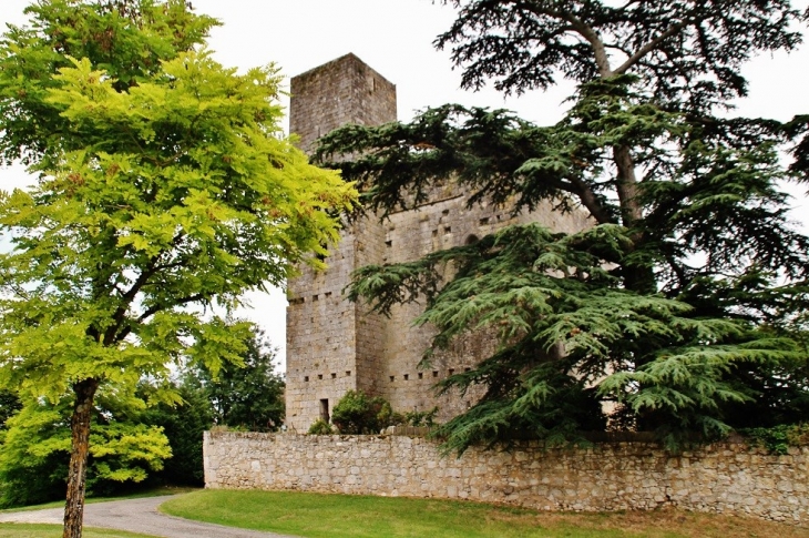 Le Château - Sainte-Mère