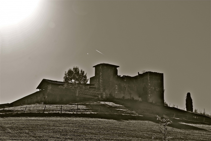 Ruines du château de Laumède - Tachoires