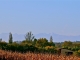 Photo suivante de Tachoires Vue sur les pyrénées du village