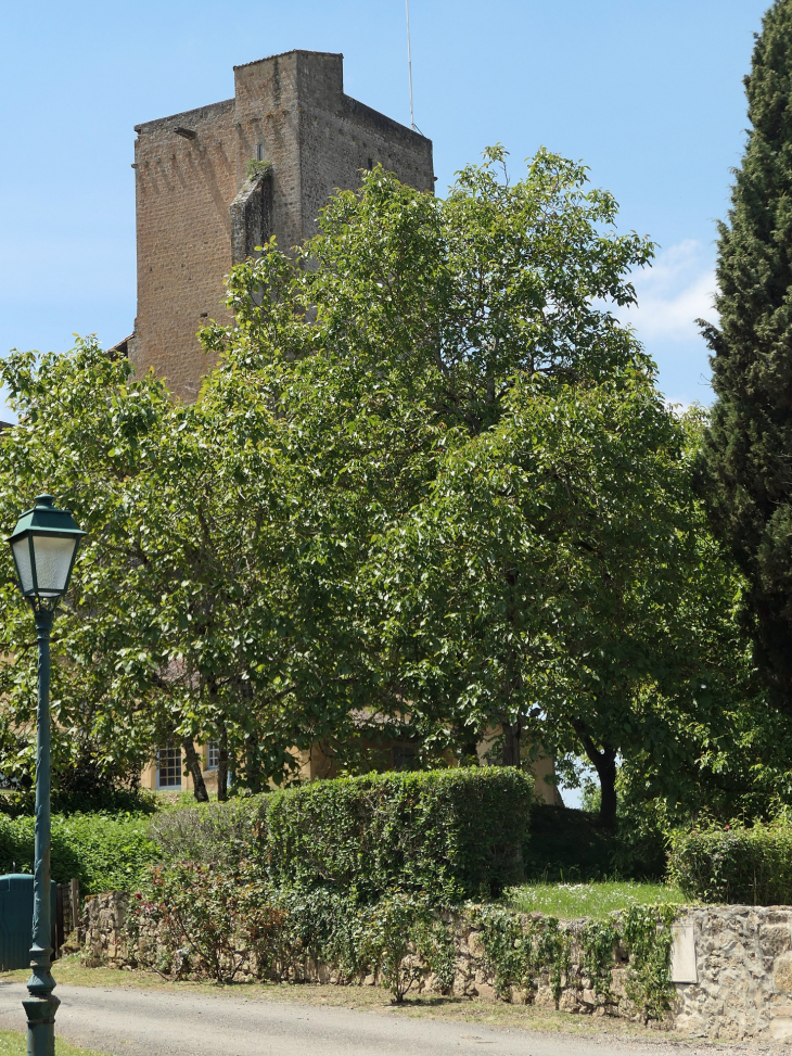 Le donjon - Termes-d'Armagnac