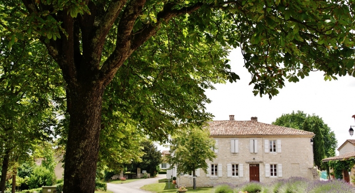 Le Village - Tournecoupe