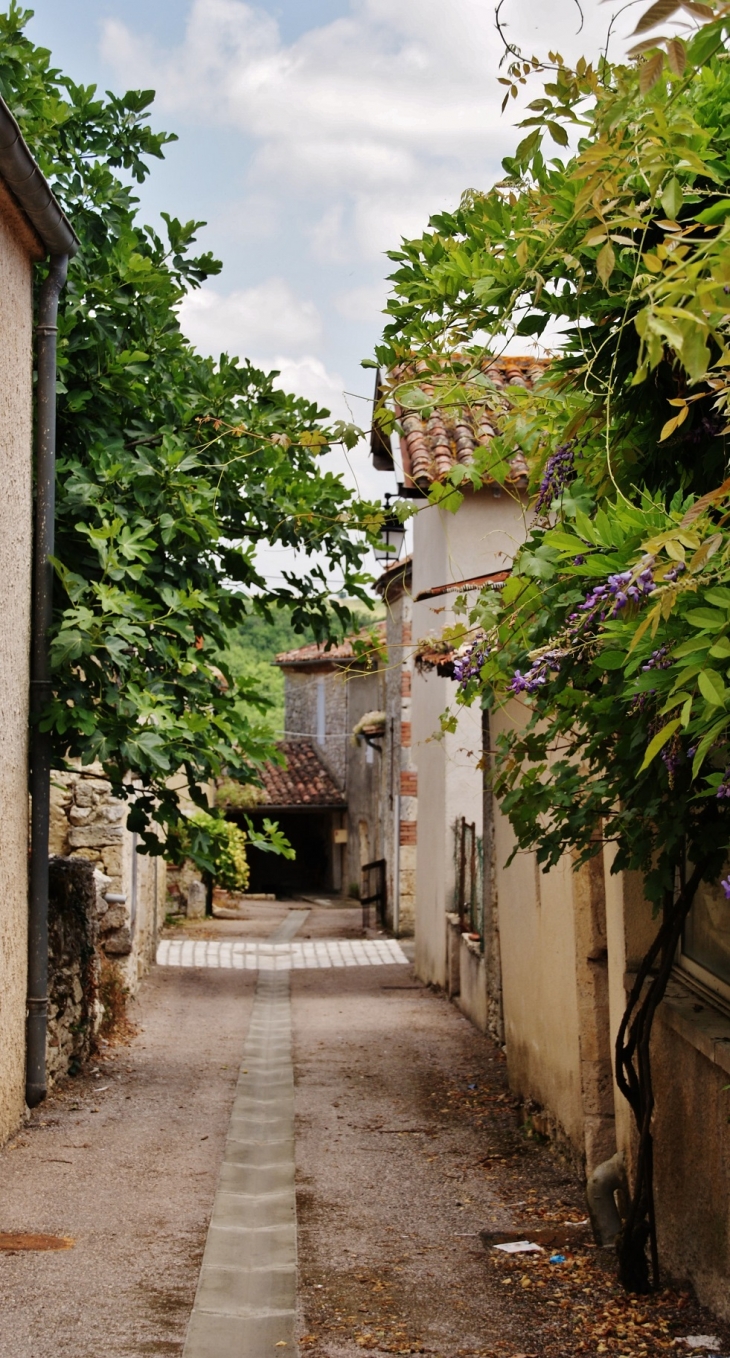 Le Village - Tournecoupe