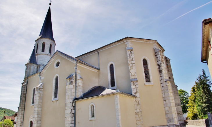  église Saint-Pierre - Ardiège
