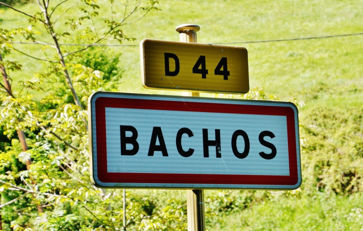  - Bachos