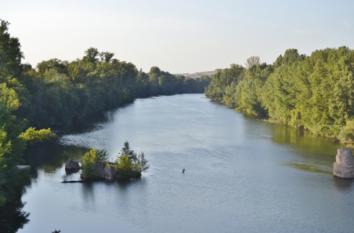 Le Tarn - Buzet-sur-Tarn