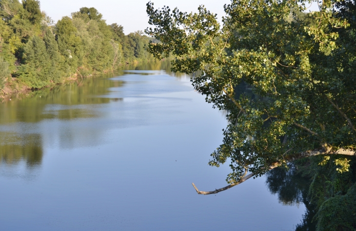 Le Tarn - Buzet-sur-Tarn