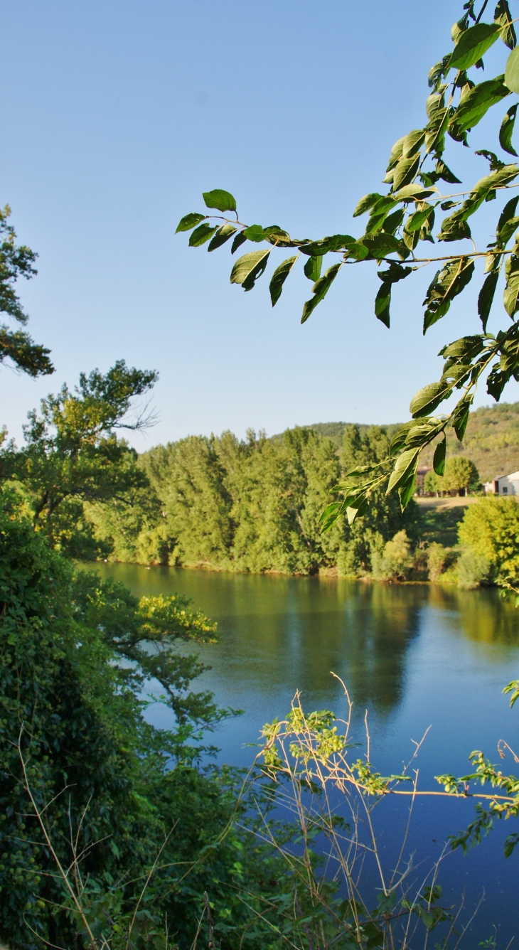 Le Tarn - Buzet-sur-Tarn