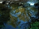 Photo suivante de Cassagne Reflets dans le Lens, petite rivière à Cassagne