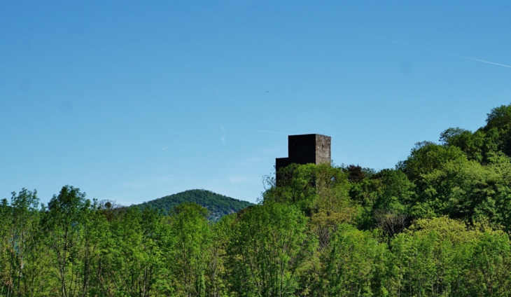 La Tour du Château - Fronsac