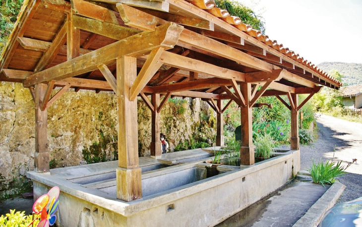 Le Lavoir - Frontignan-de-Comminges