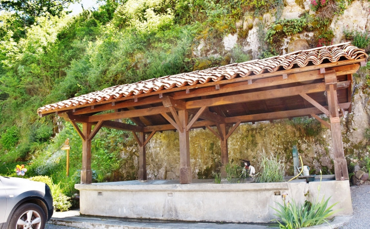 Le Lavoir - Frontignan-de-Comminges