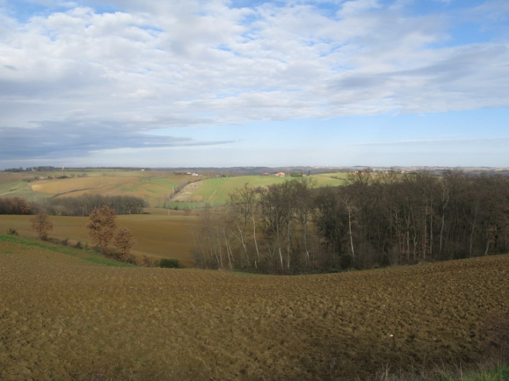 Les vallons de la campagne de Latrape