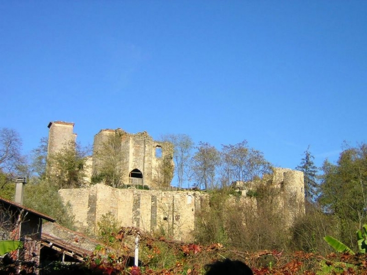 Montbrun-Bocage - Vestiges château - XIII-XVème