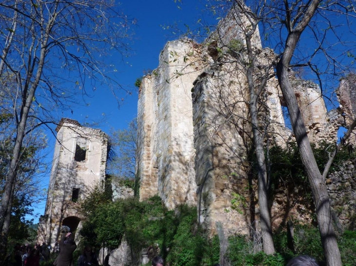 Ruines du château - Montbrun-Bocage