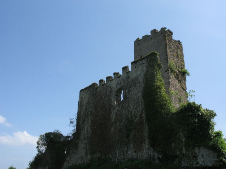 Montespan : Ruines du château  XIIIème