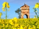 Pigeonnier dans le colza