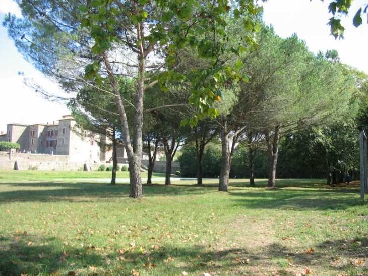 Palaminy  : parc du château