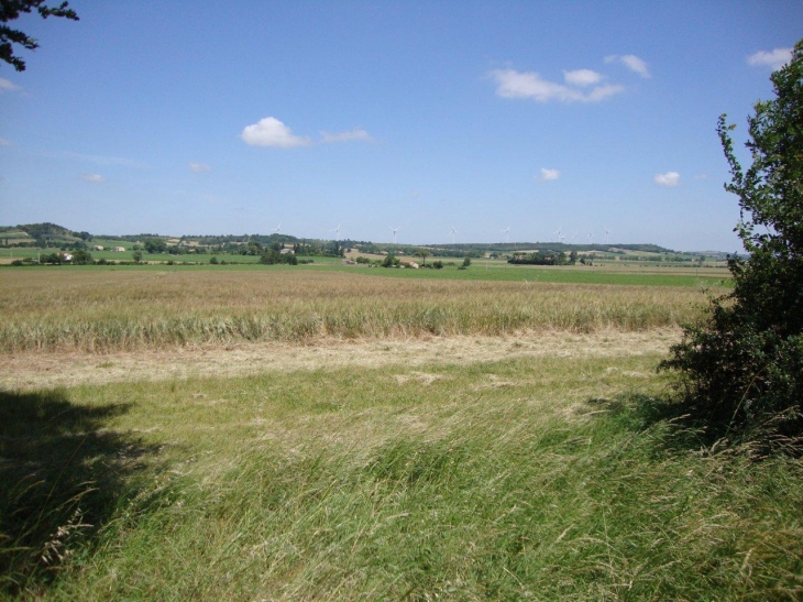 Saint-Félix-Lauragais (31540) parc d'éoliennes