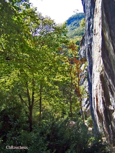 La falaise - Saint-Pé-d'Ardet