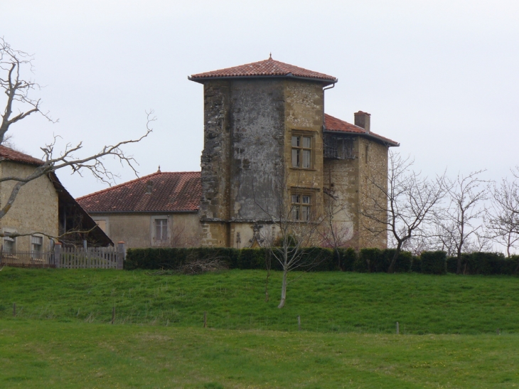 Sarremezan: Les restes de l'ancien Château