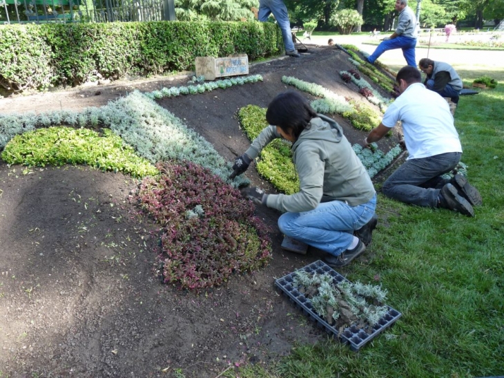 Dans le jardin des plantes - Toulouse