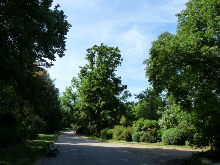 Dans le jardin des plantes - Toulouse