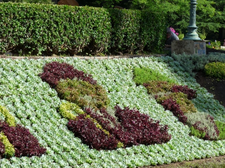 Dans le  jardin des plantes - Toulouse