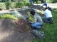 Photo précédente de Toulouse Dans le jardin des plantes