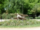 Photo précédente de Toulouse Dans le jardin des plantes