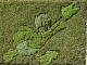 Photo précédente de Toulouse Dans le jardin des plantes