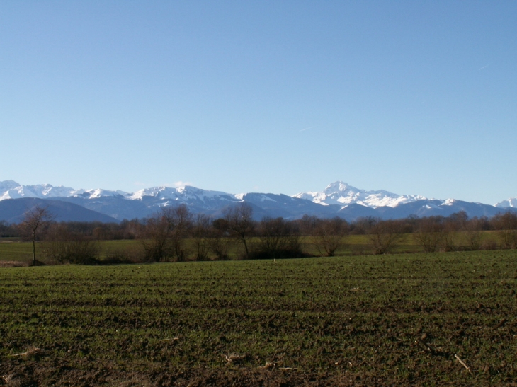 Villeneuve-Lécussan