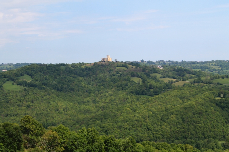 Château de Mauvezin - Artiguemy