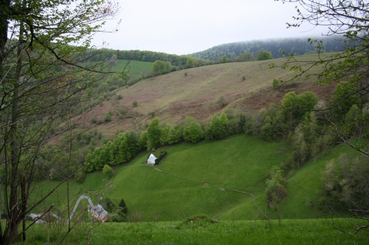 Le vallon du Serris - Beaudéan