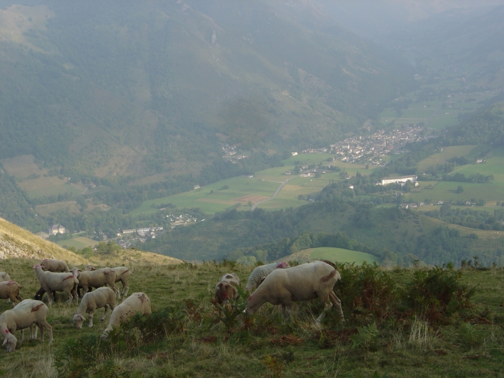 Au fond de la vallée :Campan