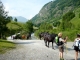 Photo suivante de Gavarnie les-chevaux-du-cirque