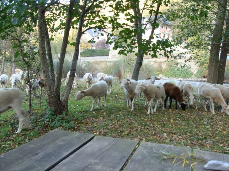 Parcour de santé - Guchen