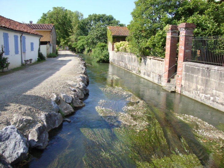 Maubourguet (65700) bras secondaire de l'Adour