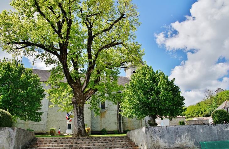   église Saint-André - Montégut