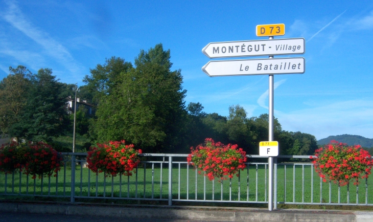 Toujours des fleurs ! - Montégut