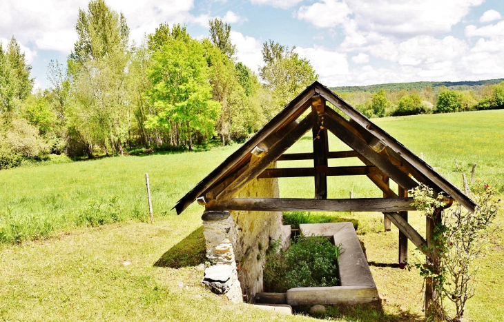 Le Lavoir - Nestier