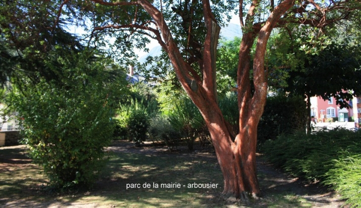 Abousier parc de la mairie - Pierrefitte-Nestalas