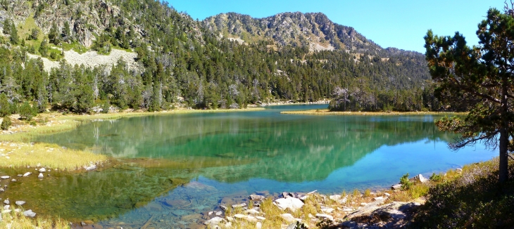 Les laquettes Réserve naturelle de Néouvielle - Saint-Lary-Soulan