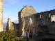 les ruines de l'ancien château