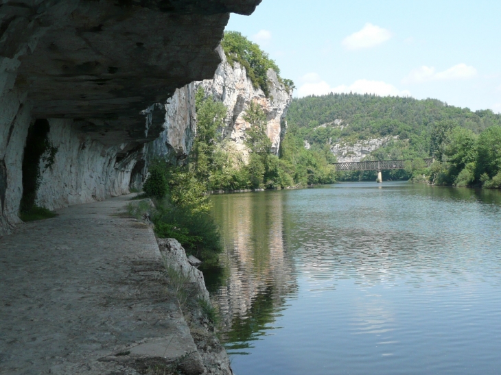 LE LOT ET SON CHEMIN DE HALAGE TAILLE DANS LA FALAISE  - Bouziès