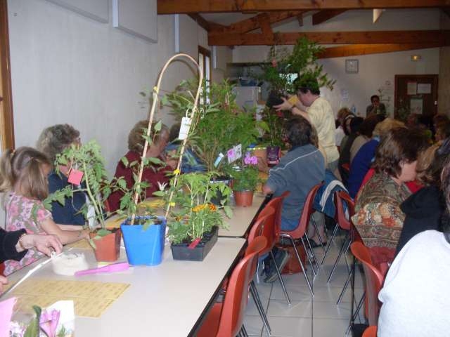 Loto des FLEURS  unique dans le lot cambayrac