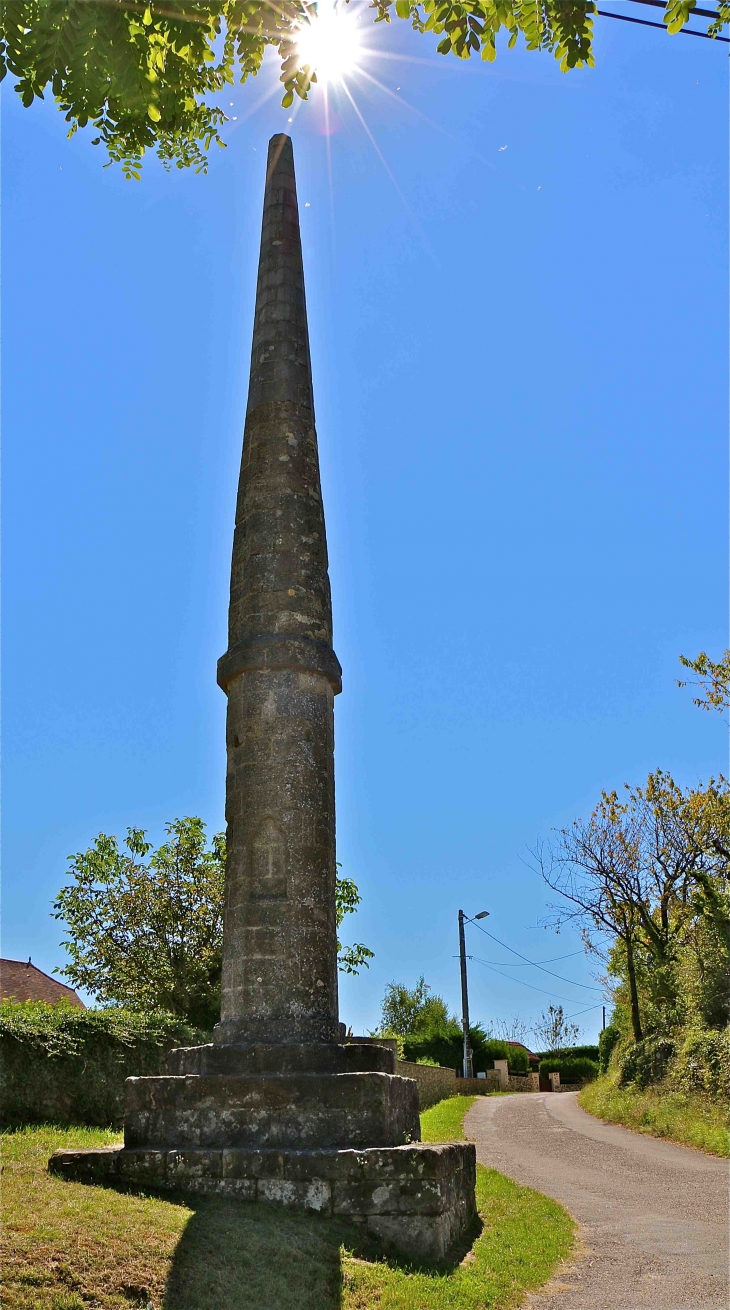 L'Aiguille du Cingle - Figeac