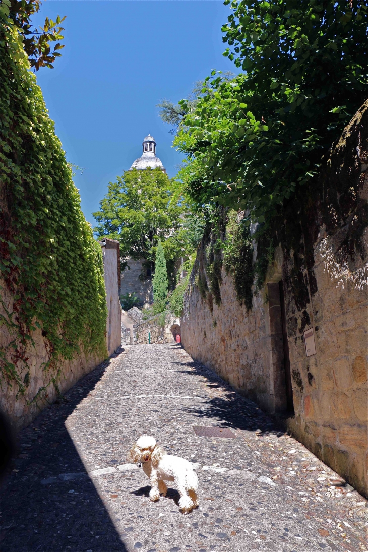 Ruelle montant à l'église Notre Dame du Puy - Figeac