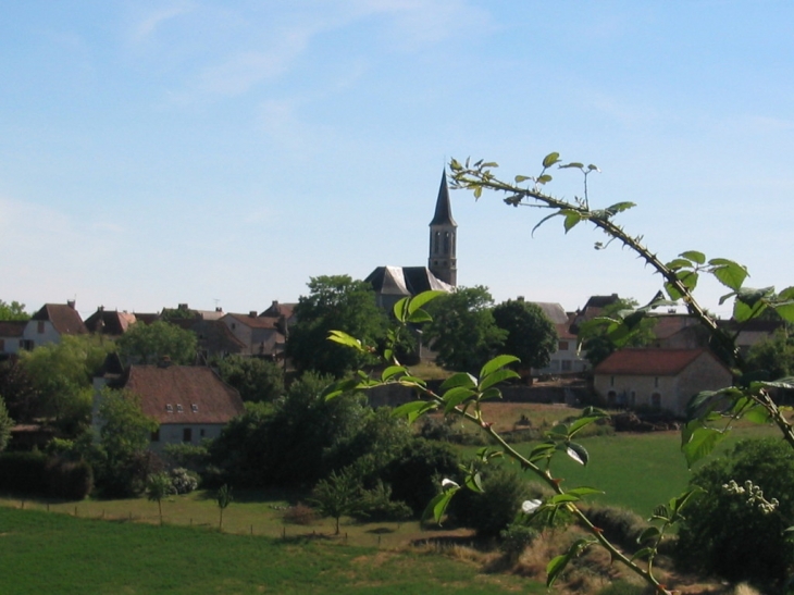 Vue sur l'église - Lauzès