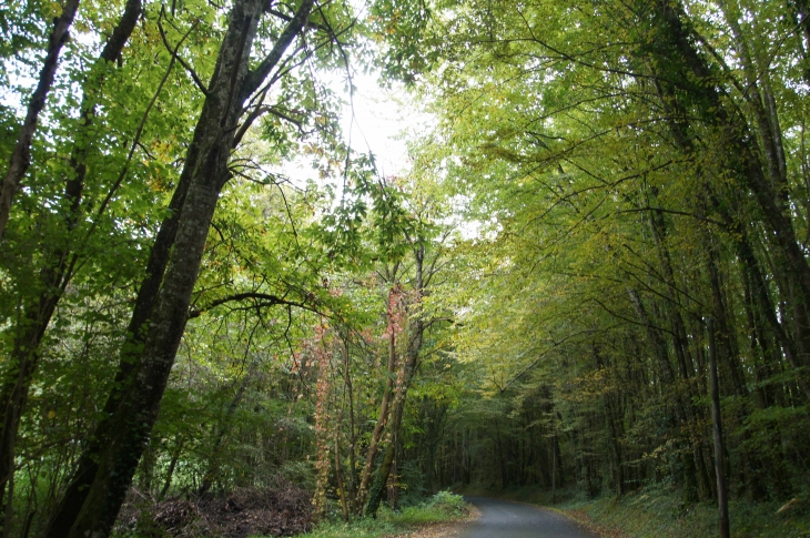 Aux alentours. - Montcabrier