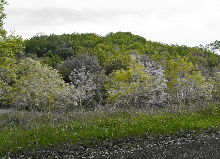 Aux alentours. - Montcabrier